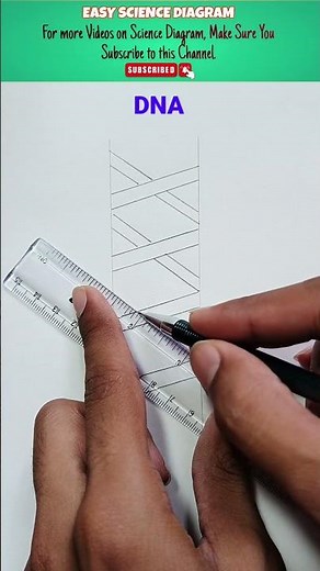 How to draw double DNA helix Diagram #DNA #helixdiagram #sciencediagram