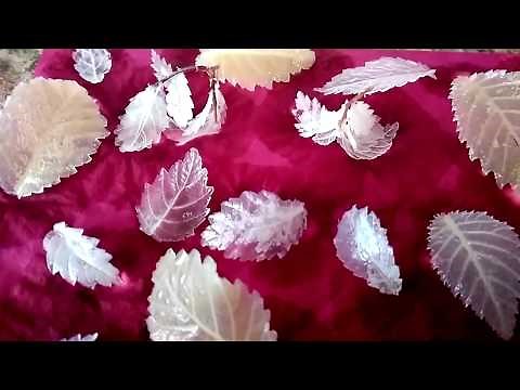 DIY Skeleton Leaves — How to Make leaf Skeleton. Making Leaf Skeleton | TUBIX