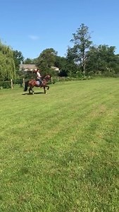Fun in the sun with Roisin’s gorgeous Habil! It’s fantastic to ride another breed with him being a Lusitano. He’s 8yrs old and has so much promise as future GP horse!! | Carl Hester