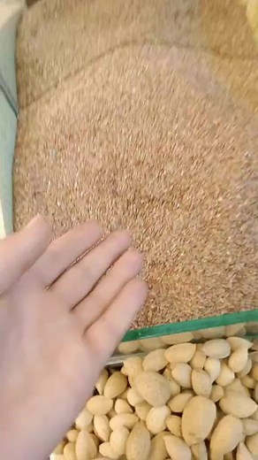 Important For Balance Hormones! #dryfruits #dryfruitsbenefits #dryfruitsandnuts #dryfruitsonline #dryfruitsshop #dryfruitspacking #dryfruitspecial #dryfruitsindia #kesar #dryfruitsbox #dryfruitsbasket #dryfruitshamper #naturalprotein #naturalproducts #dryfruitsboxes #kesarmurrba #dryfruitsgift #superseeds #sawaran #bodyglow #mixdiet #jadibutti #dryfruitladoo #mungfali #deepakohlyan #naturaldiet #thevarietynutrition #healthy #nuts #mixeddrinks | Gilgit-Baltistan Fruit Tastefull