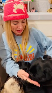 28K views · 2.1K reactions | PUG LOVE CIRCLE!  Pug Family .. I...