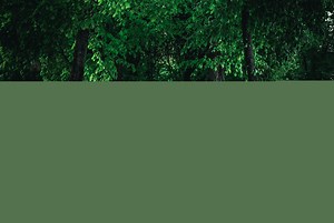 Le zonage pluvial : favoriser l’infiltration de l’eau de pluie au plus près de là où elle tombe