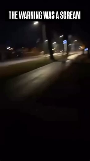 ExplosionPoint on Instagram: "🤯The Best Explosion Reels Collection 💯 Road to 40,000 Followers 💌DM For Credit or Removal 🧐Check our post for the Best Explosion Videos #fyp #instagramreels #explosion #boom #bigbang massive fireworks exploring instagram trending bomb"