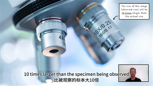 【中英字幕】IGCSE 生物 Biology - Size of Specimens (2.2)