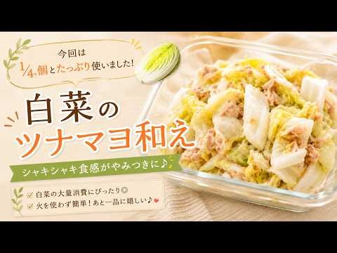 白菜大量消費レシピ第2弾｜ツナマヨ和えで混ぜるだけ！｜50代一人暮らしの節約ごはん