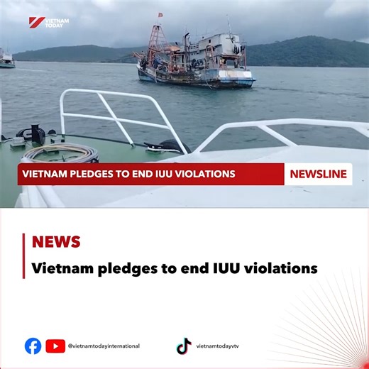 19K views · 214 reactions | Prime Minister Pham Minh Chinh once again called for a decisive crackdown and outlined measures to strengthen enforcement across Vietnam’s waters at the 21st meeting of the National Steering Committee on combating illegal, unreported, and unregulated fishing (IUU) on 11 November. #IUU #VietnamToday #fishingright #primeminister #news | Vietnam Today | Facebook