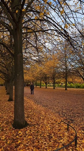 Regent’s Park, London 🍂🤎 #london #unitedkingdom #travel #fblifestyle | It's So London