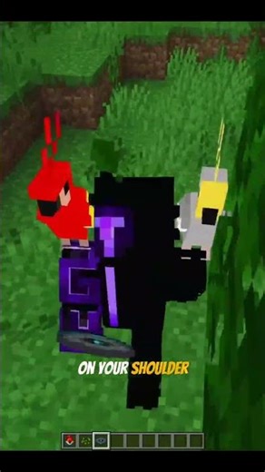 Special Features of Minecraft Bedrock Edition