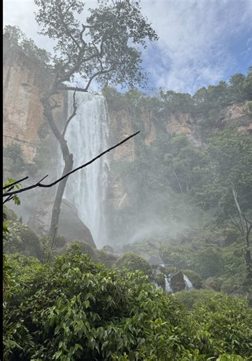 Em meio à natureza preservada do Mato Grosso do Sul, a Cachoeira da Água Branca revela toda a sua força e beleza. . . . . #historia #viagem #paisagem #brasil