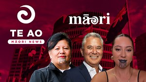 Kei te tautoko Te Pāti Māori ki Te Tai Tokerau i te mōtini a Te Tai Tonga kia makere a John Tamihere i tana tūranga perehītini. Hēoi anō, kei te ū tonu te kaiārahi takirua o Te Pāti Māori a Rawiri Waititi ki ngā heitara, kāore ētahi ngā mema o te rōpū mō te aronui ki ngā kawa o te pāti. | Te Ao Māori News