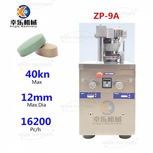 [Hot Item] Zp9a Pill Press Tablet Pressing Machine Camphor Tablet Making Machine Pill Presser Chlorine Zp5 Rotary Tablet Press Machine