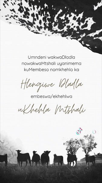 Digital uMembeso and Umkhehlo Wedding Invitation Video