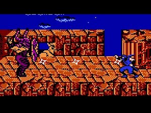 Ninja Gaiden Hack n Slash Boss Malth Cheats On