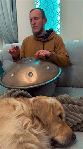 I hypnotize a dog with a hang