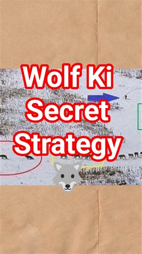 Bhhediyon Ki Sectret Strategy 🔥 #shorts