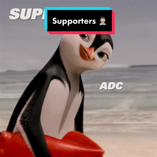Supporters Be Like - League of Legends Esports Compilation