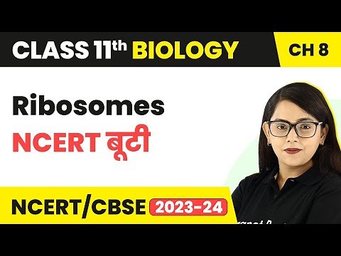Ribosomes - NCERT बूटी - Cell The Unit of Life | Class 11 Biology