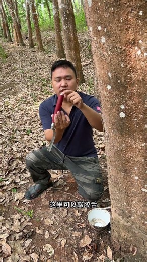 Effortless Rubber Tapping with This Multi-Use Knife