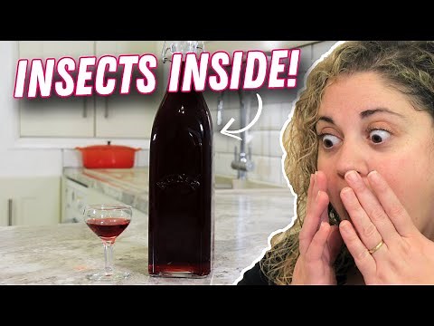 How to Make Alchermes | Italian Insect Liqueur!