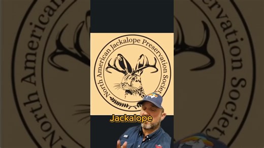 Hunting in the United States