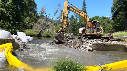 62K views · 837 reactions | ICYMI: Dam removal in Oregon = great news...