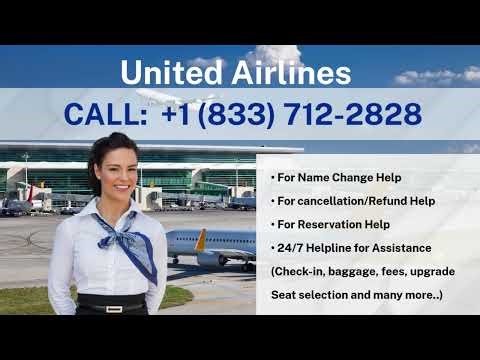 Talk to a Live Agent at United Airlines – Complete Step-by-Step Guide