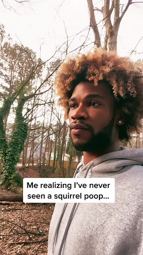 Curious Observation: Squirrel Pooping Behavior Revealed