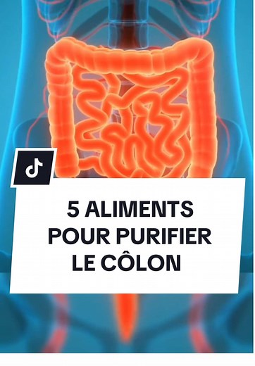 5 Aliments Pour Nettoyer Les Intestins Efficacement