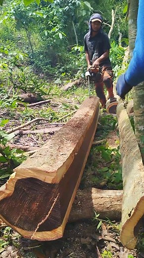 Gapanakmol man papz | Papz Lumber