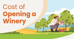 How Much Does It Cost To Open A Winery