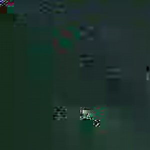 7.8M views · 70K shares | Bear goals! This guy is awesome. via SuperViral.TV | UNILAD | Facebook