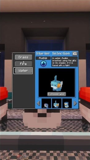 RSL is a competitive league in Minecraft Java