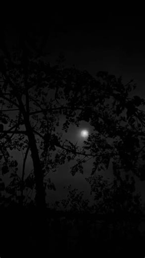 تحديات الغربة وكيف نتعامل معها