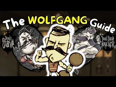 The Complete WOLFGANG Guide