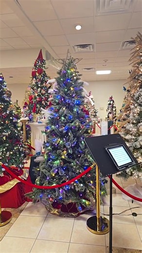 Saint Anthony Maronite Church Lawrence MA on Reels