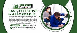 Services - Maximum Pest Control Services