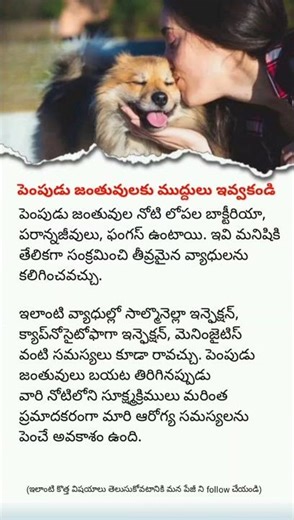 Why You Shouldn’t Kiss Your Pets | Hidden Health Risks