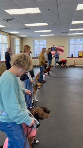 1.4K views · 41 reactions | Saturday morning Grad School before our snowy weekend. Thanks everyone for your attention & attendance. | Auntie Dog Training Studio | Facebook