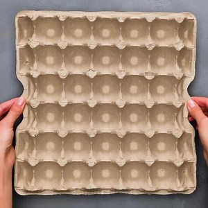 How to freeze tomatoes and easy hacks to keep fruits fresh longer | 5-Minute Workouts