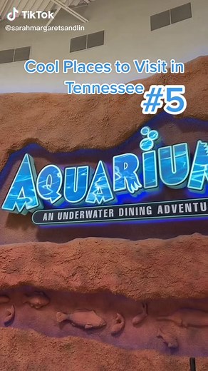 Aquarium Restaurant in Nashville - Dining Experience Underwater