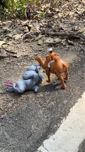 RC Rabbit vs Camel: Unboxing and Testing