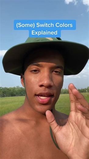 Understanding Different Switches in Mechanical Keyboards