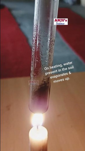 Moisture in Soil Class 7 || Activity 9.5 Class 7 Science Chapter 9 Soil #shorts #anjus_science