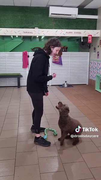 Drools Daycare & Training on TikTok