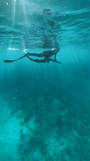 For serious spearfishing and diving, trust the experts! From spearos to champions... Adreno has the gear you need. 🤿 Shop Now! | Adreno