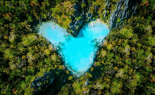 Sostenibilidad | BBVA