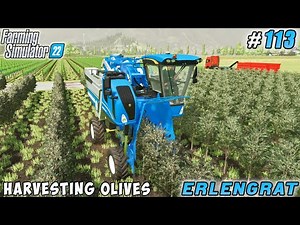 Covering grass silage, HARVESTING OLIVES, preparing for harvest of grapes | Erlengrat | FS 22 | #113