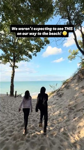 We Spotted a Bald Eagle in the Wild! 🦅 | Indiana Dunes National Park | 4N Family Adventures