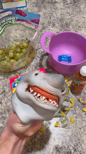 The Shark Puppet #reel #viral #trend #millionviews | The Shark Puppet