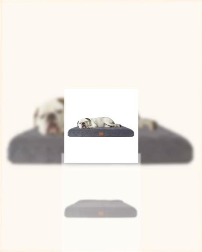 Quilted Microfiber Orthopedic Dog Bed with Moisture Barrier